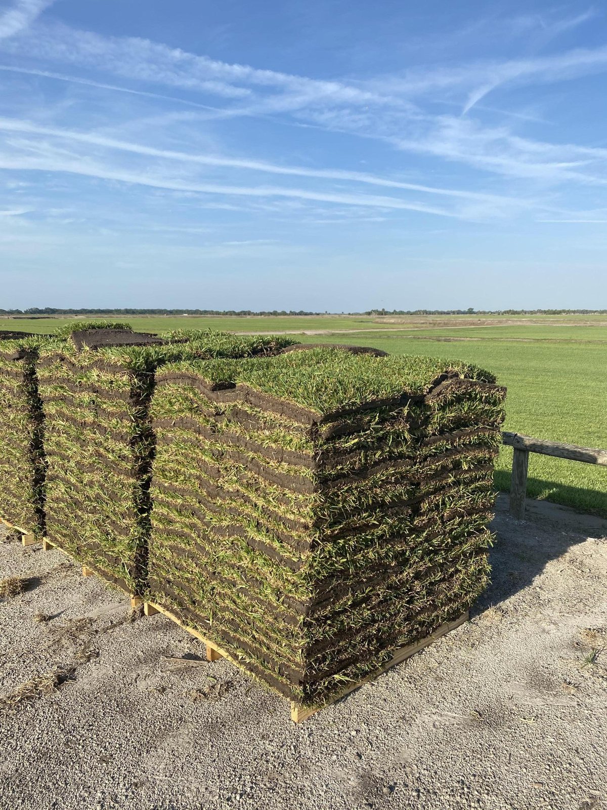 Fresh sod project by Attila Sod
