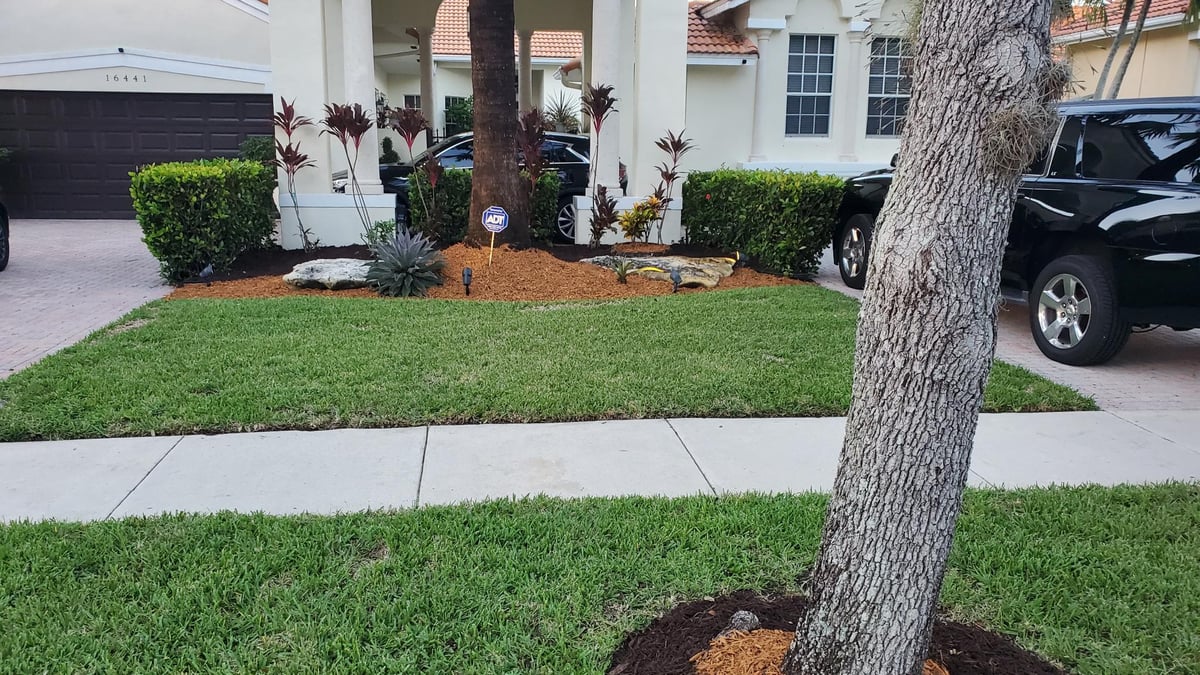 New green lawn installed by Attila Sod