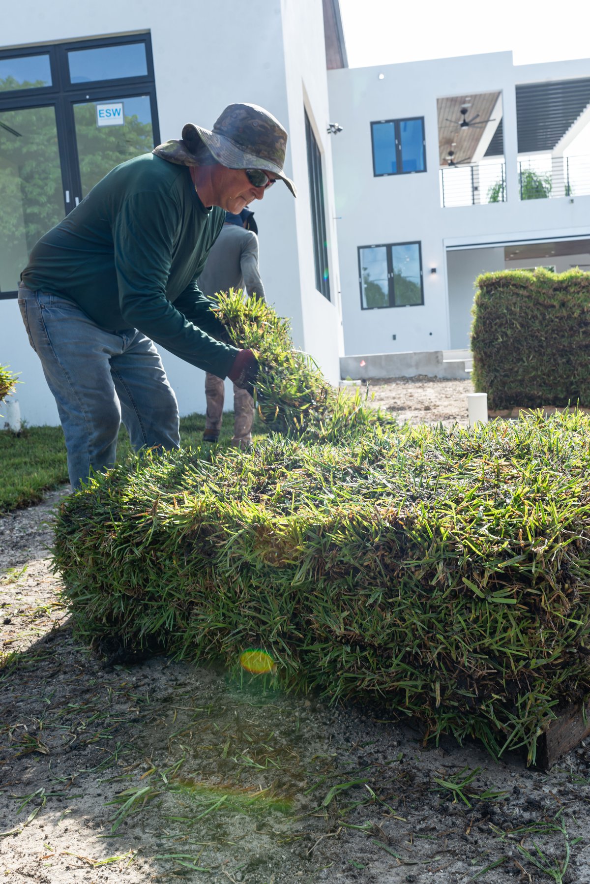 Professional sod installation result